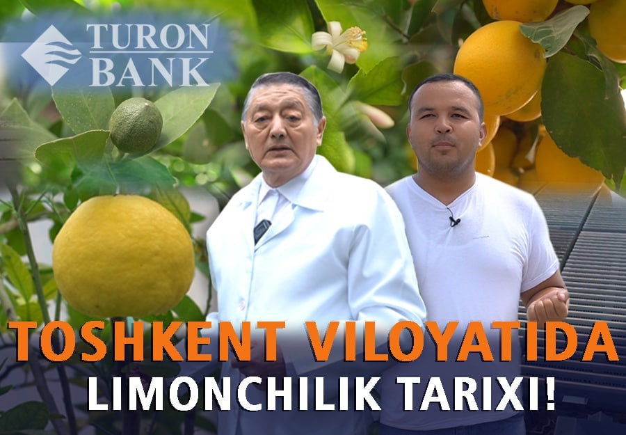 Перспективы развития школы лимоноводства