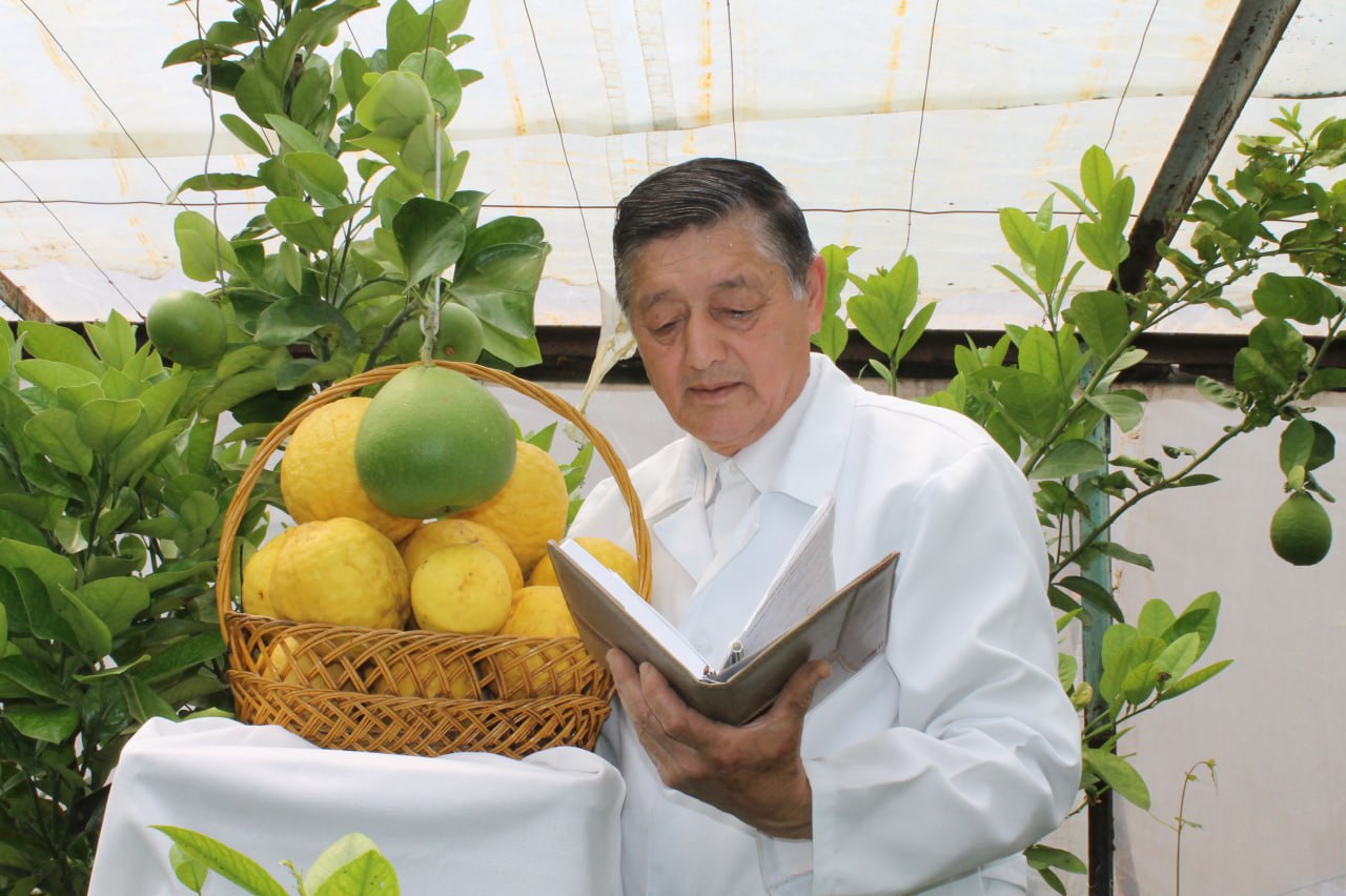 Главное изображение портфолио